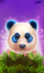 Luck of Panda: Bonus Combo