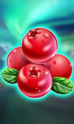 Winterberries